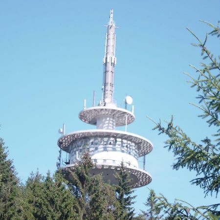 Haus Am Wald Apartman Hillscheid Kültér fotó