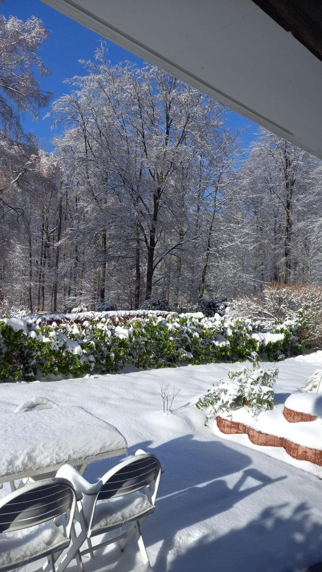 Haus Am Wald Apartman Hillscheid Kültér fotó
