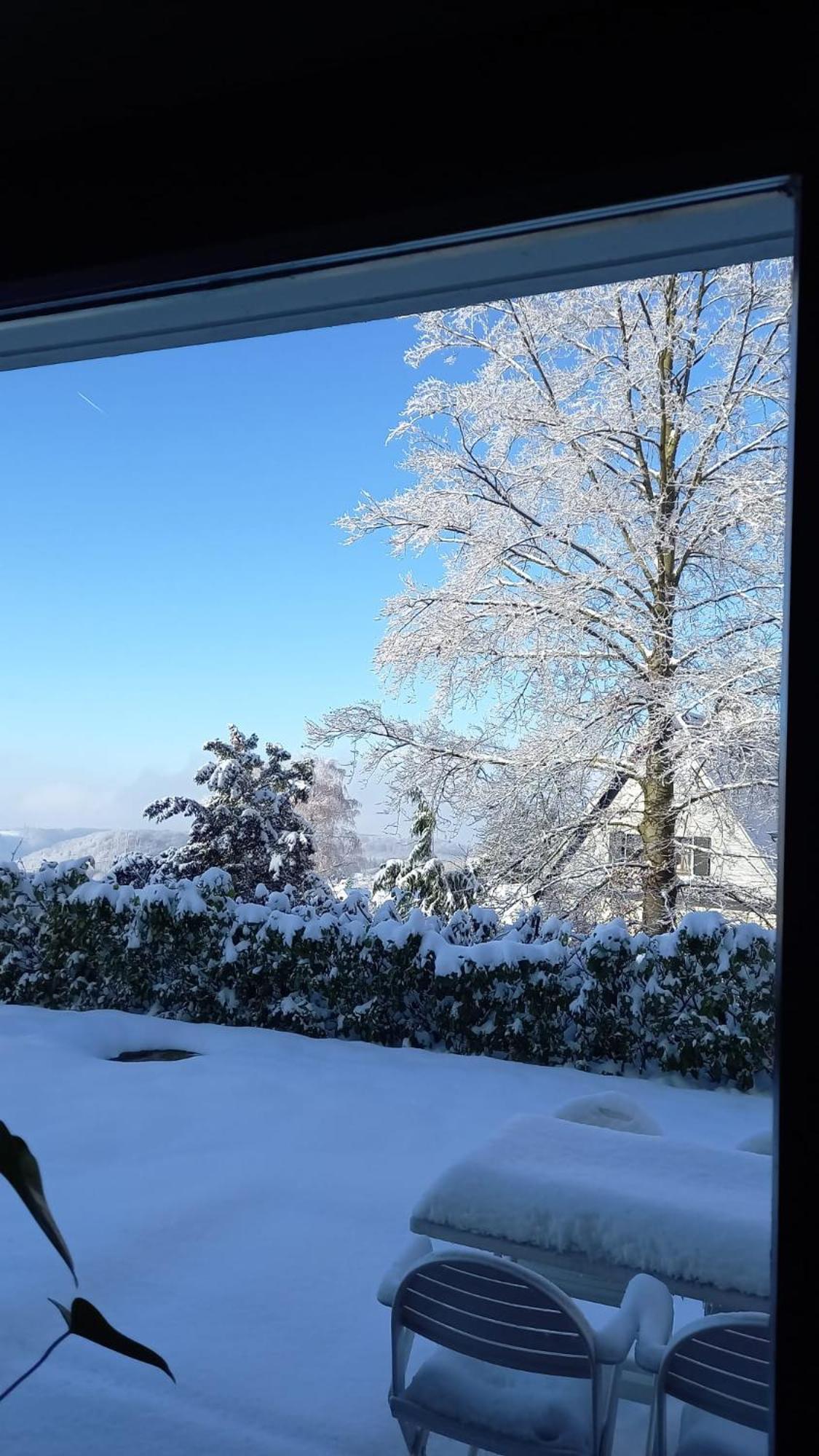 Haus Am Wald Apartman Hillscheid Kültér fotó