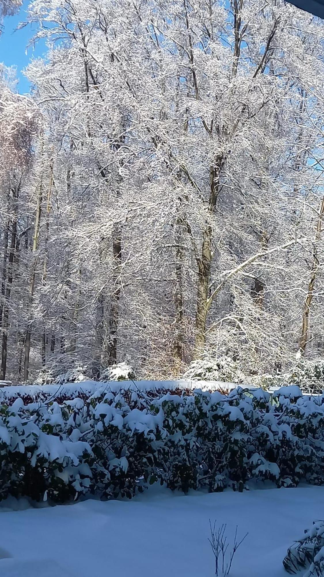 Haus Am Wald Apartman Hillscheid Kültér fotó