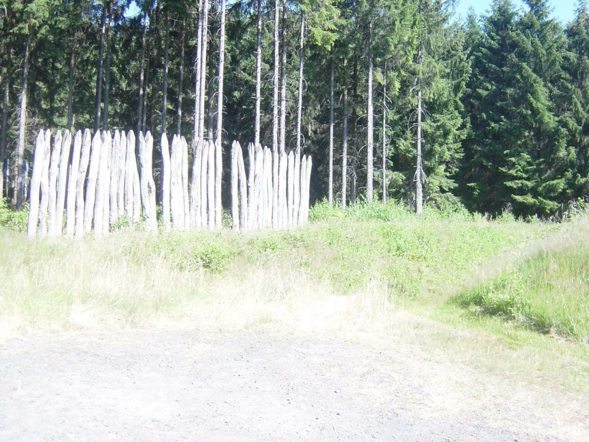 Haus Am Wald Apartman Hillscheid Kültér fotó