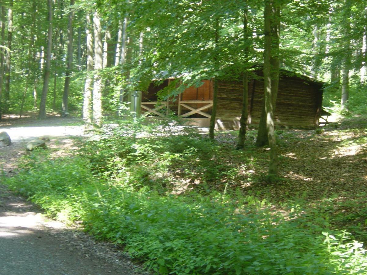Haus Am Wald Apartman Hillscheid Kültér fotó