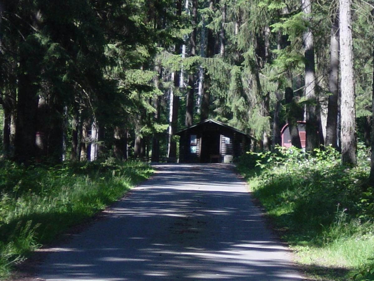 Haus Am Wald Apartman Hillscheid Kültér fotó